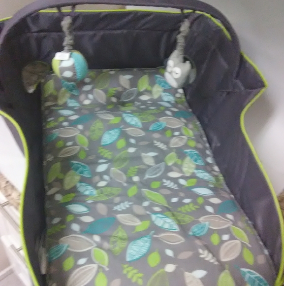 eddie bauer portable bassinet